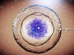试管婴儿胚胎分等级，教你如何进行选择