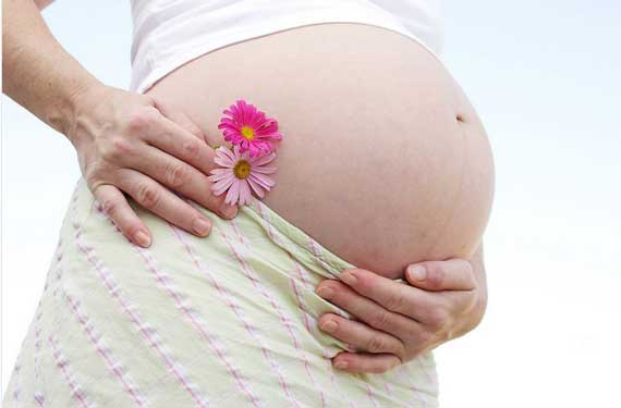 孕妇应禁用的中药、草药